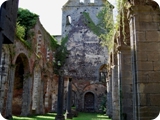abbaye d'aulne - tra le rovine 3 