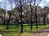 parco petroselli 2