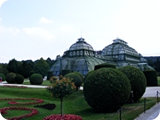 25 - Vienna (Castello di Schönbrunn Serra delle palme)