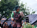 62 - Fortezza di Hohenwerfen (spettacolo di falconeria)
