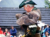 65 - Fortezza di Hohenwerfen (spettacolo di falconeria)