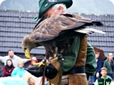 66 - Fortezza di Hohenwerfen (spettacolo di falconeria)