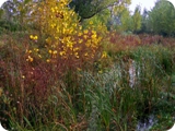 parco di talenti 1