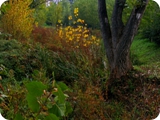 parco di talenti 2