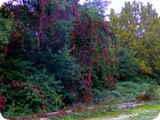 parco di talenti 3