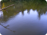 villa ada (laghetto)