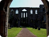 abbaye d'aulne - tra le rovine 2 