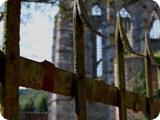 abbaye d'aulne - tra le rovine 4 