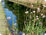 annevoie - giardini 3