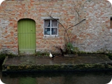 31 - bruges - groenerei