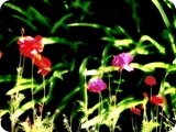 giardini segreti di villa borghese 2