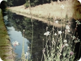 annevoie