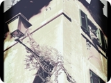 trastevere 5