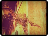 trastevere 6