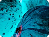 unexplored worlds