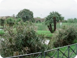 parco di tor tre teste - laghetto 1