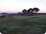 alba autunnale