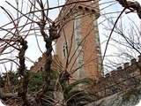 bolgheri castello