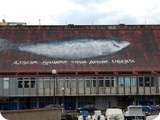 livorno quartiere venezia nuova 2