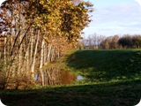 parco di talenti 1