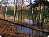 parco di talenti 2