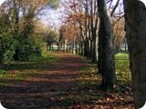 parco di talenti 3
