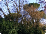 parco di talenti 4