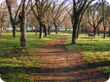parco di talenti 5