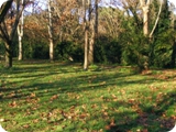 parco di talenti 6