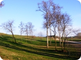 parco di talenti 9