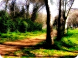 parco di talenti dream vision 1