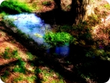 parco di talenti dream vision 2
