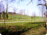 parco di talenti dream vision 3