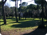 parco petroselli 1