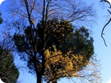 parco petroselli 3
