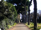 parco petroselli 4