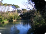ponte tazio sull'aniene