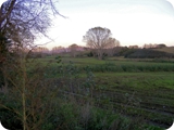 tramonto autunnale