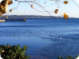 trevignano 2