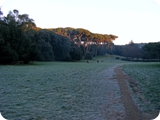 villa ada 2