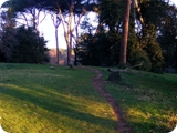 villa ada 3