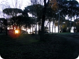 villa ada 4