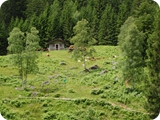 16 - val di genova