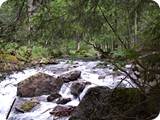 22 - val nambrone - sentiero amolacqua