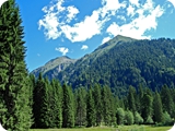 33 - val nambrone