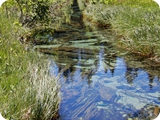 56 - lago nambino - emissario