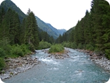 6 - val di genova - torrente sarca di genova