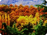 autunno umbro
