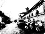 maggio