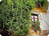 farfa (casa 1)